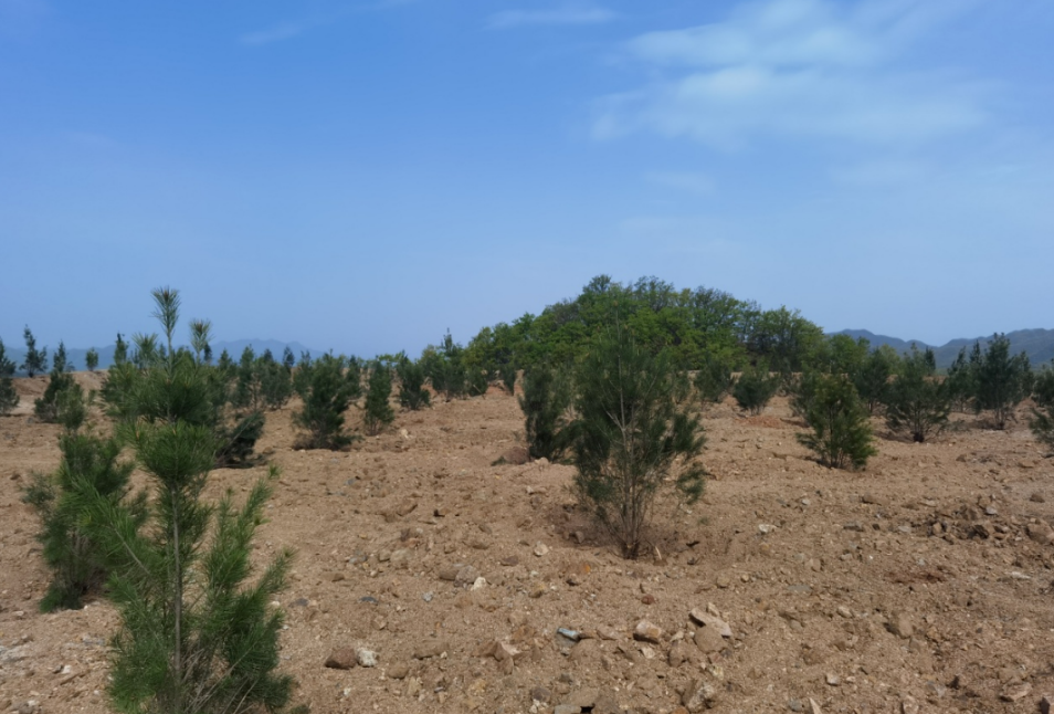 微信截圖_20230823153915.png 微信截圖_20230823153915.png