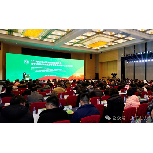 “2024黃河流域氫能創(chuàng)新發(fā)展大會”質(zhì)子動力董事長陳國飛受邀參加并做主題分享